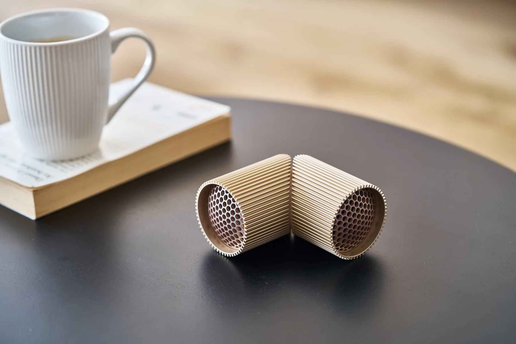 Ray Speaker